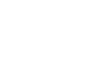 BLS International Logo - India Visa